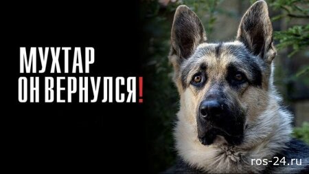 Мухтар. Он вернулся 3-5 серия 06.01.2026